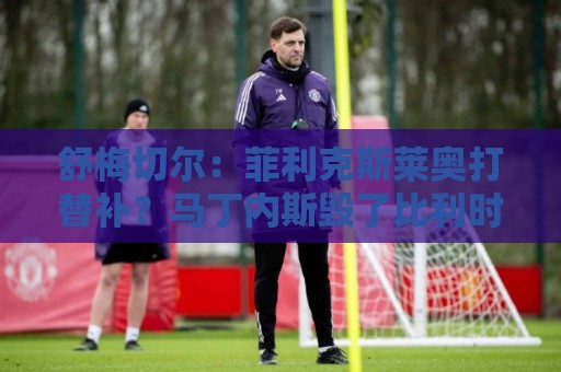舒梅切尔：菲利克斯莱奥打替补？马丁内斯毁了比利时又来毁葡萄牙