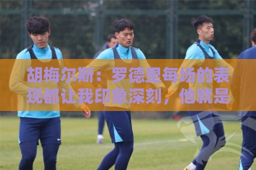 胡梅尔斯:罗德里每场的表现都让我印象深刻,他就是6号位典范 胡梅尔斯:罗德里每场的表现都让我印象深刻,他就是6号位典范