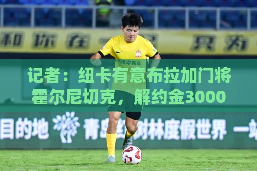 记者：纽卡有意布拉加门将霍尔尼切克，解约金3000万镑但尚未报价