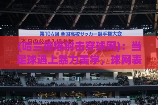 (哈兰德爆射击穿球网)：当足球遇上暴力美学，球网表示很受伤【哈兰德爆射击穿球网】