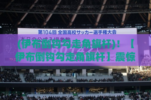 (伊布倒钩勾走角旗杆)!【伊布倒钩勾走角旗杆】震惊全球足坛的魔幻名场面 (伊布倒钩勾走角旗杆)!【伊布倒钩勾走角旗杆】震惊全球足坛的魔幻名场面