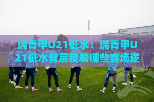 瑞青甲U21低水：瑞青甲U21低水背后藏着哪些赛场逻辑？(瑞青甲U21低水)年轻球员的节奏密码🔂最全手机信誉投球网代理1080P官网无插件低调看冠军