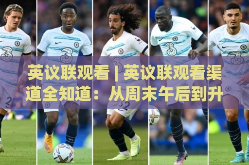 英议联观看 | 英议联观看渠道全知道：从周末午后到升级附加赛的沉浸体验🔂最大权威网页买球站走地大全早盘文字中文解说直播